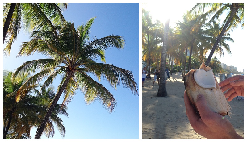 The beaches were beautiful!  Even though I don't like coconut, I had to try a fresh one. (danny ended up eating it)