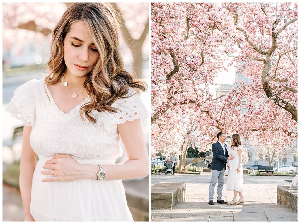 Washington DC Maternity Photographer in magnolia blossoms 