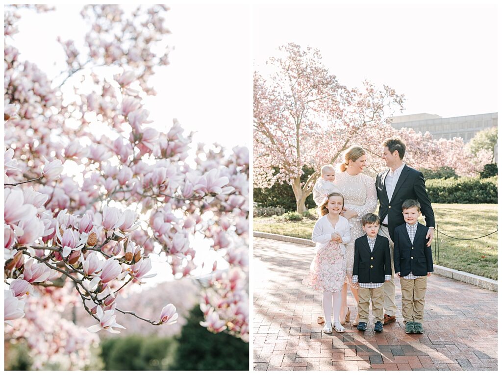 family photos in magnolia blossoms 