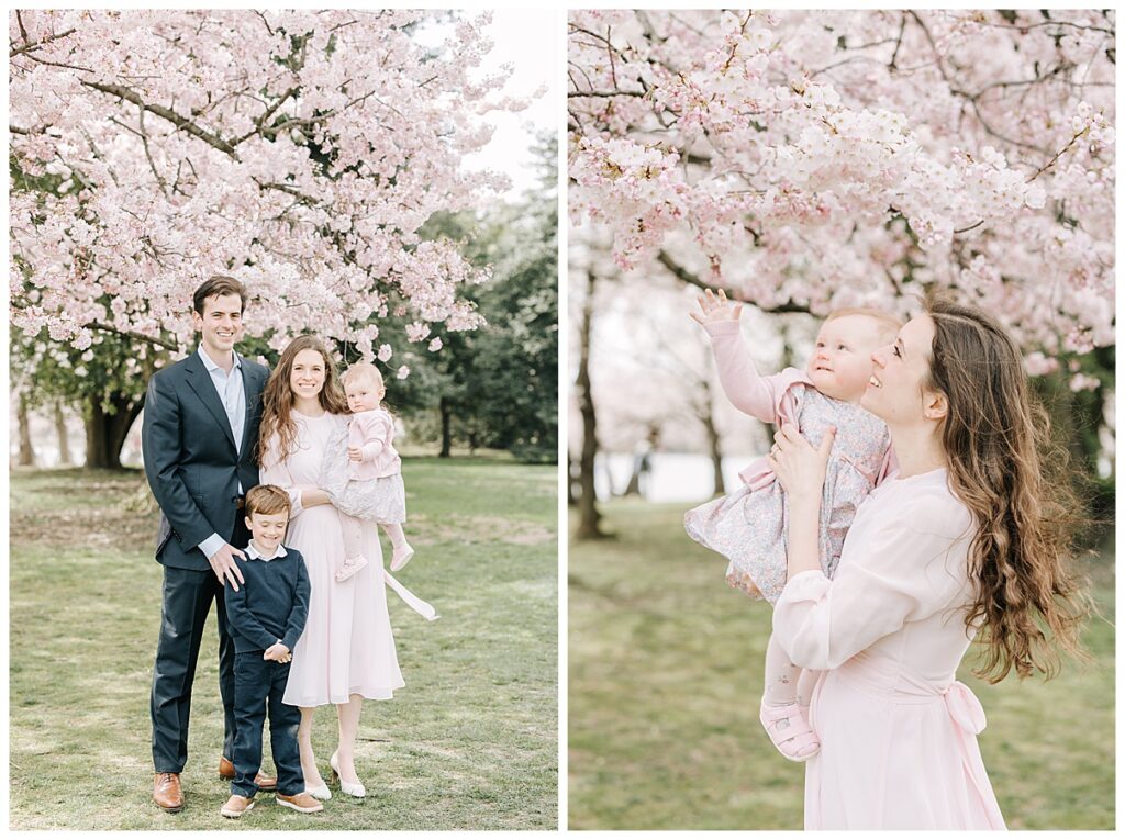DC Cherry Blossom Family Photographer