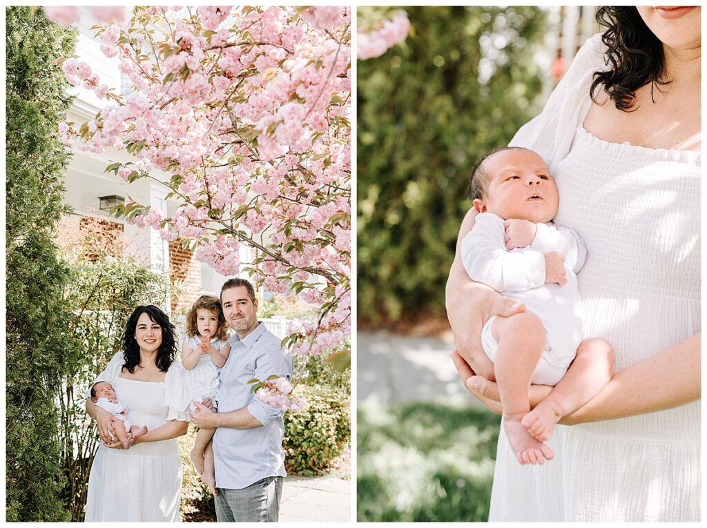 newborn photos with blooming pink tree