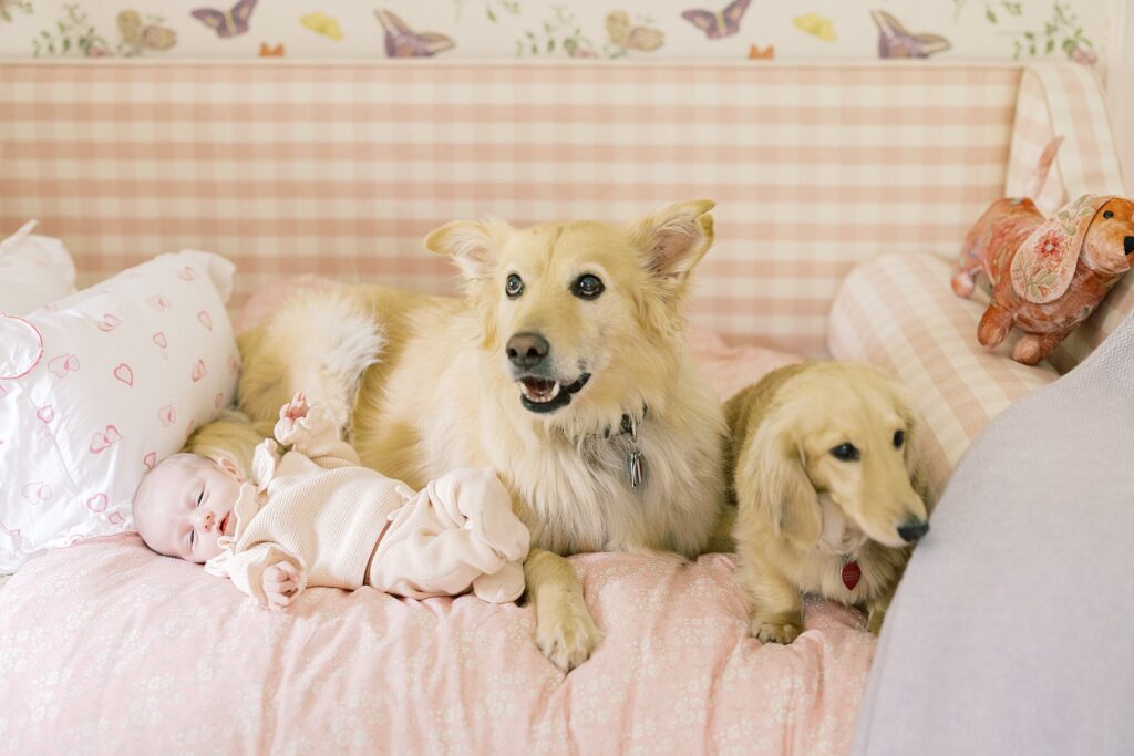 Baby Girl Newborn Session