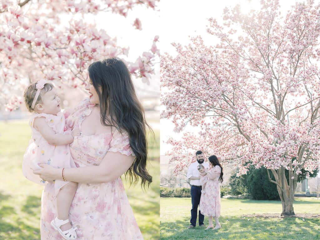 Locations for Spring Photos in DC